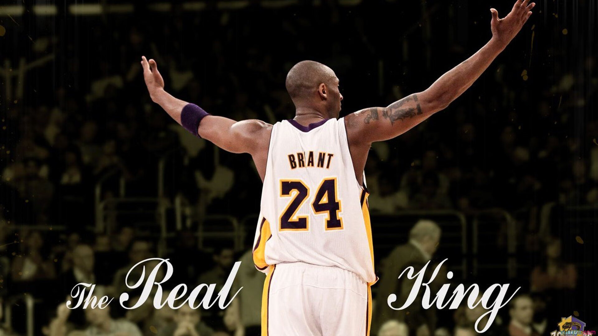 库尔图瓦的叹息之墙,墨西哥对阵洪都拉斯的生涯之夜